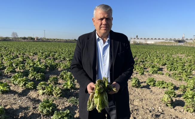 CHP'li Ayhan Barut: "Söz değil icraat bekliyoruz, acil çözüm istiyoruz"