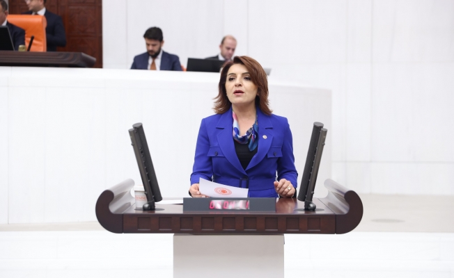 CHP’li Gülcan Kış: Sarayın Lüksü, Halkın Geçim Derdiyle Ödeniyor!