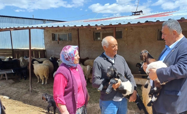   Güler Körük: “Yem Parasına Yetişemedik”