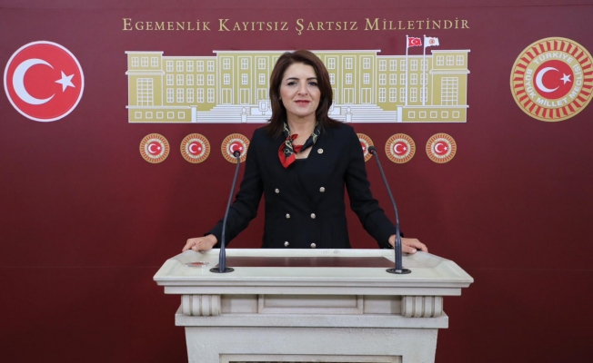 CHP’li Gülcan Kış, “Saray’da Kaç Kişi Çalışıyor?”