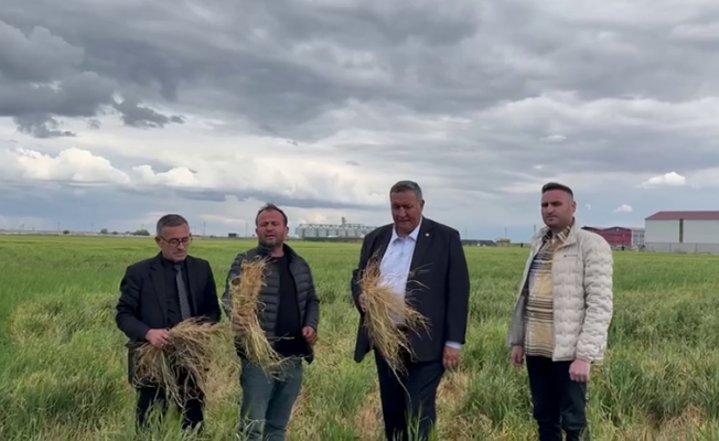 Çiftçi: “Zirai don arpada üretim kaybına neden olacak”