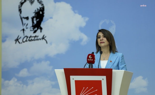 Gamze Taşcıer: “Soma’nın üzerine 52 Soma daha yaşandı”