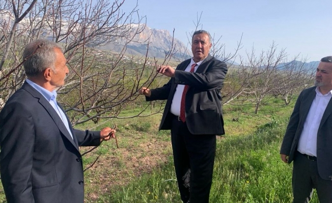 Gürer: “Zirai don ile sosyal çöküş yaşanmaması için önlemler acil alınmalıdır.”