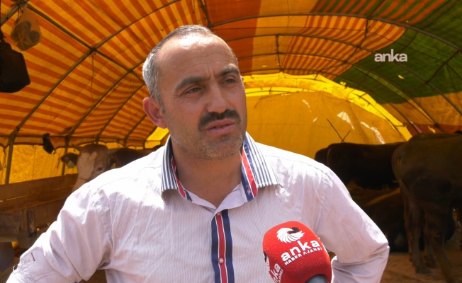 Kurban Bayramı hazırlıkları başladı... Besiciler, kurbanlıklara talebin az olmasından ve maliyetlerden şikayetçi