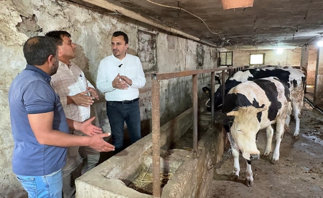 Manisalı Besici CHP’li Başevirgen’e Dert Yandı: “Bakanın Bakma Gücü Yok, Kurban Kesecek Olanın Kesecek Gücü Yok"