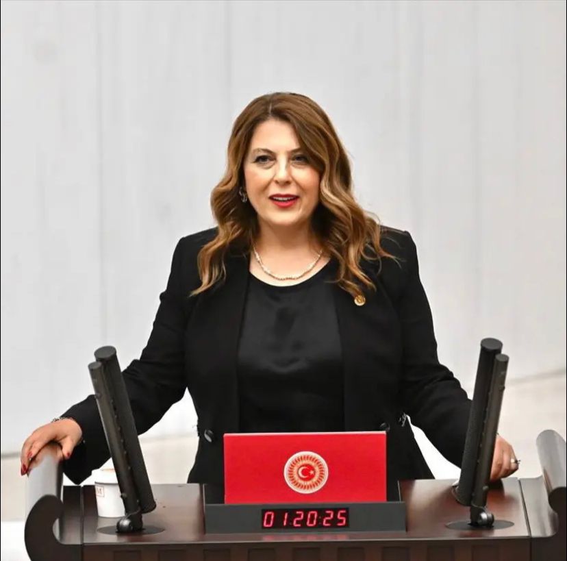 Milletvekili Gezmiş Doğankent Çatalağaç Köyü'nde yaşanan çevre katliamına karşı yetkilileri göreve çağırdı: