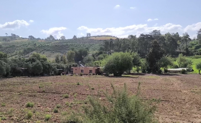 Osmaniye'deki Karatepe Köyü sakinlerine "milli park" davaları... Köy muhtarı: "Biz milli parkı işgal etmedik, milli park bizi işgal etti"