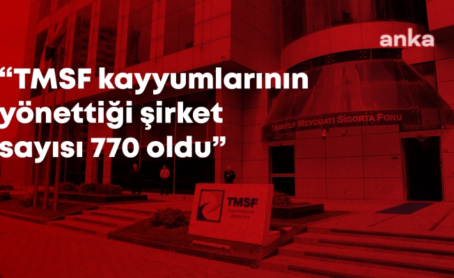 Son operasyonlarla TMSF kayyumlarının yönettiği şirket sayısı 770’e yükseldi: Banka, TV, hamburgerci, çerezci, reklamcı, gece kulüpleri, elektrik santralları