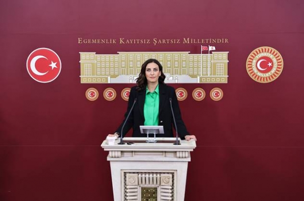 Rızvanoğlu, Kayseri Pınarbaşı’nda orman köylerinin ortasına yapılmak istenen patlayıcı tesis ısrarına tepki " Zamantı Irmağı, Bahçecik Barajı, meralar: bir projeyle hepsi risk altında"