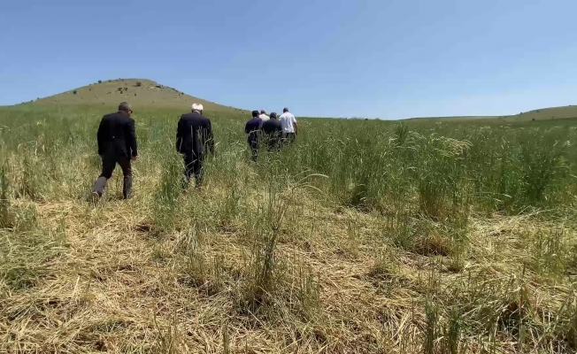 Yozgat çiftçisine darbe üstüne darbe… Kuraklık, dolu, sel nedeniyle ekili alanları zarar gören çiftçiye, bir darbe de fiyattan geldi