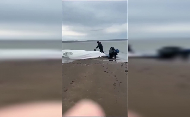 Pasifik’te tsunami uyarıları hafifletildi, ancak bazı bölgelerde riskin hala devam ettiği bildirildi