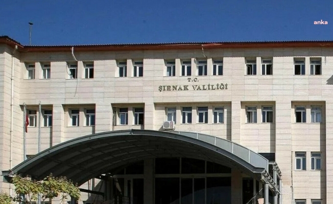 Şırnak Valiliği: Gabar Dağı'nda çıkan orman ve örtü  yangını kontrol altına alındı