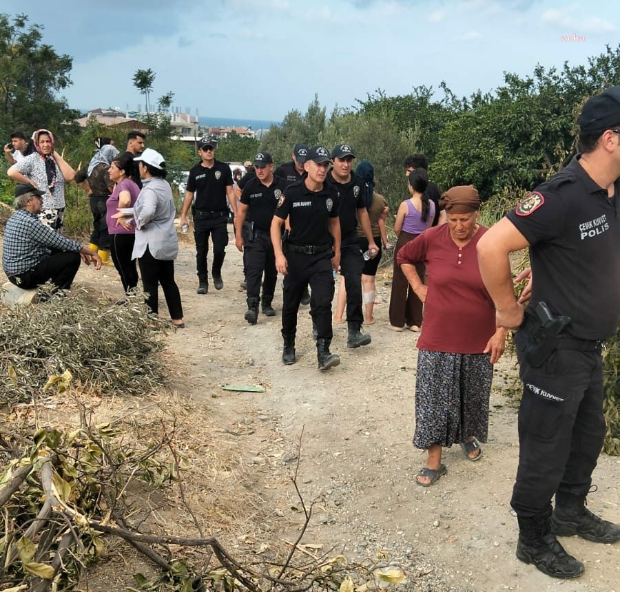 Acele kamulaştırma yapılan Samandağ Kurtderesi Mahallesi'ne çevik kuvvetle girildi, ağaçlar söküldü