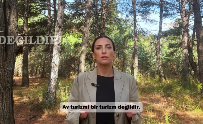 CHP İstanbul Milletvekili Rızvanoğlu: "Doğa bir bütündür. En azından bu sezon, av tamamen yasaklanmalı"