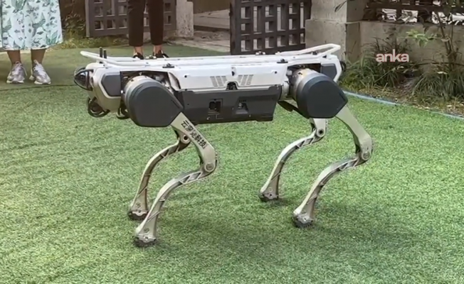 Çin'de orman yangınlarına müdahale için dört ayaklı robot teknolojisi