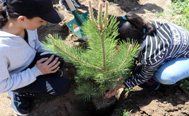 MEB'den yeni eğitim öğretim yılı genelgesi... "Zilsiz okul" uygulaması başlatılacak, ilk derste orman yangınları anlatılacak, Atatürk Haftası anma etkinlikleri tarihinden bir hafta önce düzenlenecek
