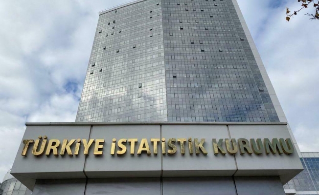 TÜİK: 2024 yılında faal olan girişimlerin yüzde 44,4'ü hizmet sektöründe, yüzde 35,1'i ise ticaret sektöründe yer aldı
