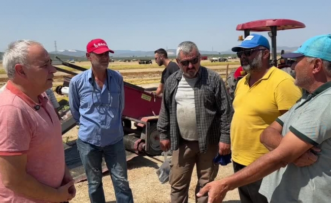 Üzüm üreticileri isyan etti: "Enflasyonla yarışamıyoruz"