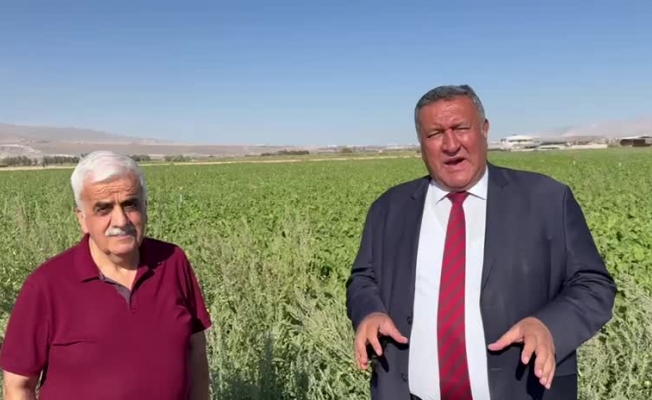 CHP’li Gürer: “Şekerpancar alım kampanyası başladı, alım fiyatı açıklanmadı”