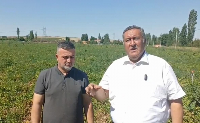 Ömer Fethi Gürer: ''Çiftçi, ürettiği ürünü mal ettiği fiyatla dahi satamıyor''