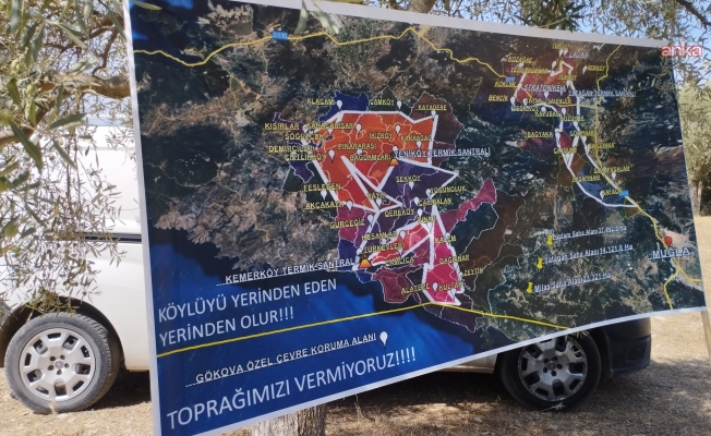 AYM, zeytinlik alanları madenciliğe açan yasayı gündemine aldı