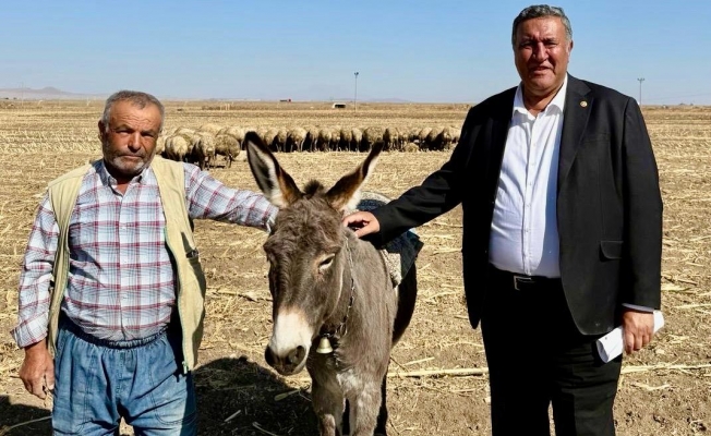 CHP Niğde Milletvekili Ömer Fethi Gürer, “Hayvancılıkta sorunlar artıyor” CHP Niğde Milletvekili Ömer Fethi Gürer, “Hayvancılıkta sorunlar artıyor”