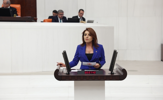 CHP’li Gülcan Kış: “Yasa değil, yetki gaspı”