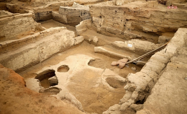 Tavşanlı’da 4000 yıllık nohut, Çatalhöyük’te 8600 yıllık ekmek kalıntıları gün yüzüne çıkarıldı
