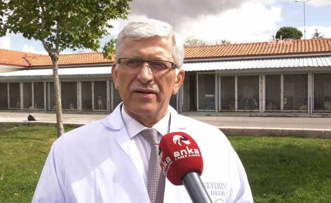 THVB Başkanı Eroğlu: “Önemli olan, hayvan sağlığı, insan sağlığı ve çevre sağlığının gözetilerek hareket edilmesi"