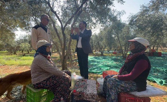 Bekir Başevirgen, Manisa’da zeytin üreticilerinin ve işçilerin sorunlarını dinledi