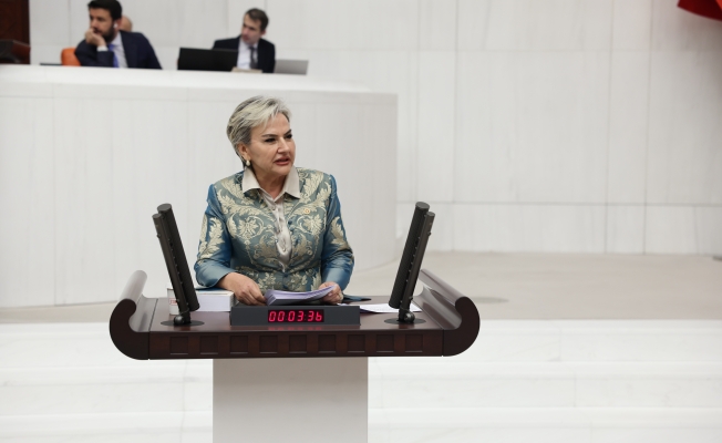 CHP İstanbul Milletvekili Nimet Özdemir İntibak Yasasını Meclis Gündemine Taşıdı