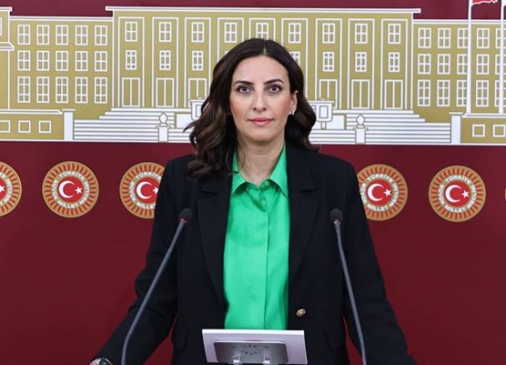 CHP’li Evrim Rızvanoğlu: “Kamu Yararı Savunmak Suç Değildir”