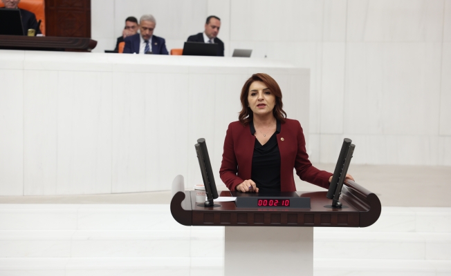 CHP’li Gülcan Kış: “Gençler işsizlik, belirsizlik ve umutsuzlukla baş başa”