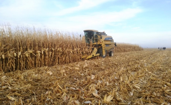 Ediz Ün’den TMO Kararına Eleştiri: “Yetki Güncellemesi Değil, İthalatın Alışkanlık Haline Getirilmesidir”
