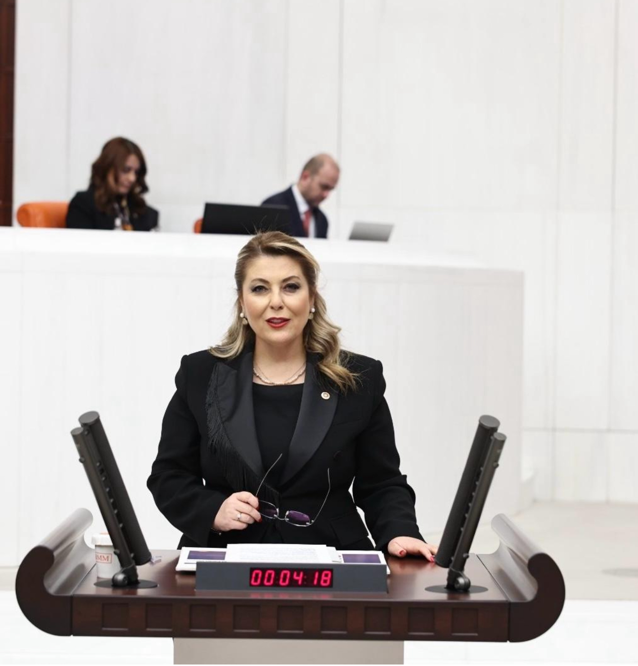 Elvan Işık Gezmiş, Dal-Çık projesinin akıbetini sordu