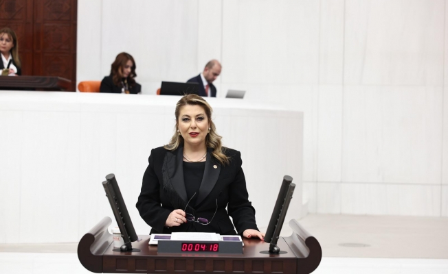 Elvan Işık Gezmiş, Giresun’un ulaşım sorunlarını Türkiye Büyük Millet Meclisi (TBMM) gündemine taşıdı