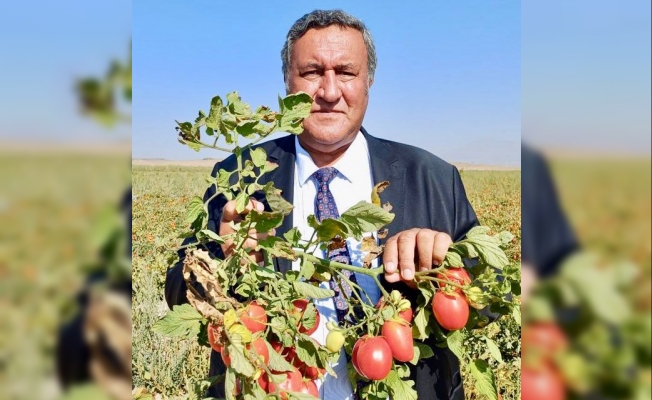 Gürer: “Çiftçilerin borçlarını en az üç yıl öteleyin"