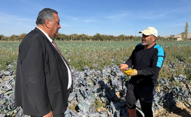 Gürer: “TARSİM tüm çiftçileri kapsayacak şekilde yeniden yapılandırılmalı”