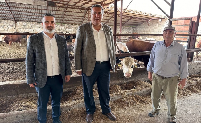 Ömer Fethi Gürer: “Et ve hayvan ithalatı durmuyor, sorunlar bitmiyor”