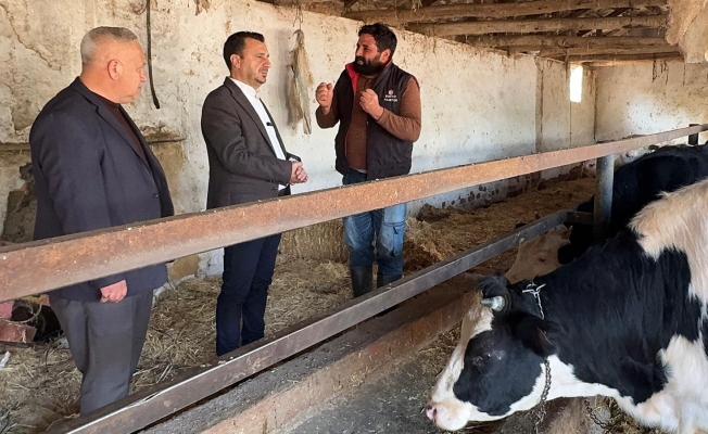 Süt ürünleri satan bir esnaf Başevirgen’e şu sözlerle dert yandı: Bu işi 15 yıldır yapıyoruz, en kötü yıl bu yıl.”