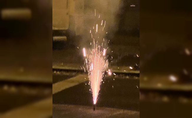 Almanya’da yeni yıl kutlamalarında havai fişeklere yasak getirilmesi talebi