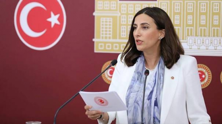 CHP’li Rızvanoğlu İstanbul’un Can Suyu, Ormanı ve Kültürel Mirası Talan Ediliyor