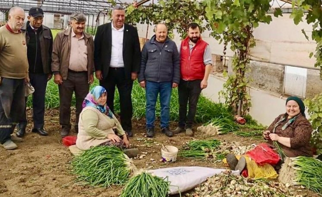 Gürer: “İktidarın çiftçiyi topraktan koparıyor”