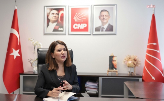 Ahmet Özer'e hapis cezası... Gökçe Gökçen: "Ne kadar zorlarsanız zorlayın, kendisiyle 'terör örgütü üyeliği' yan yana gelmez"