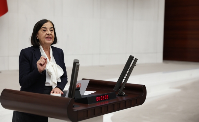 CHP Eskişehir Milletvekili Süllü: Emekli veteriner hekimler yarı maaşa mahkûm edildi