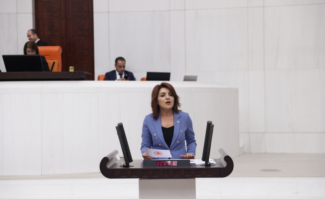 Gülcan Kış:  “Esnaf borçla dönüyor, çiftçi faizle üretiyor”
