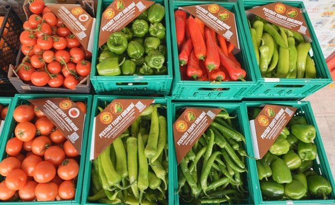 ŞOK Marketler’de pestisit analiz kapsamı genişliyor: Domatesten sonra biberler de analiz ediliyor