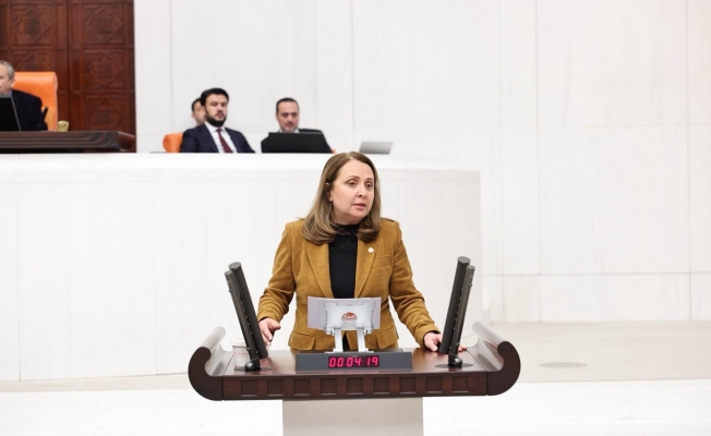 CHP'li Dinçer: Kadınların yaşam hakkı korunamıyorsa, hukuk devleti ağır yara almış demektir