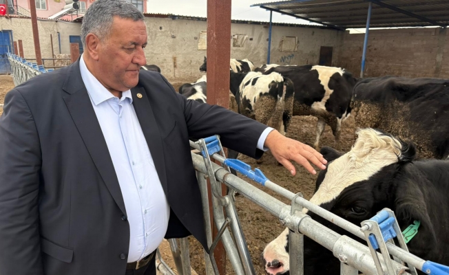 Gürer: “Köyler değişiyor, hayvancılıkta dertler aynı”