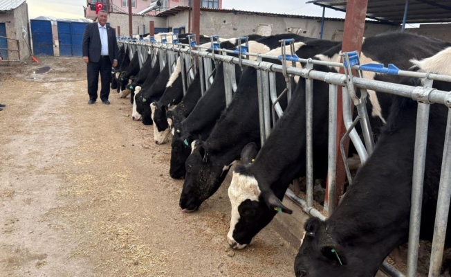 Gürer: "Türkiye, 2025'te Tarihinin En Yüksek İkinci Canlı Hayvan İthalat Faturasıyla Karşı Karşıya Kaldı"